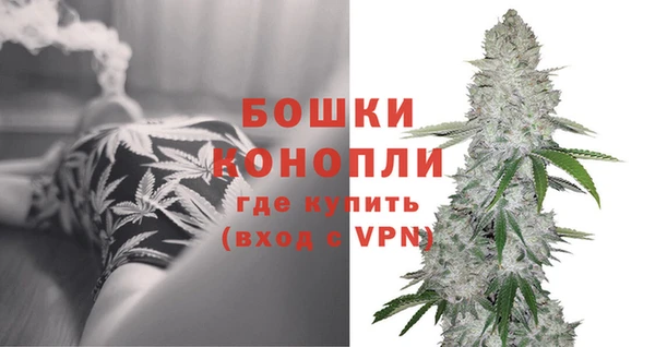 трава Нея