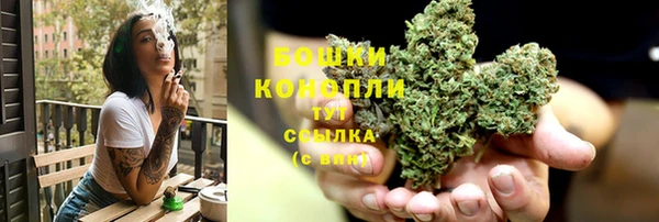 шишки Нефтегорск