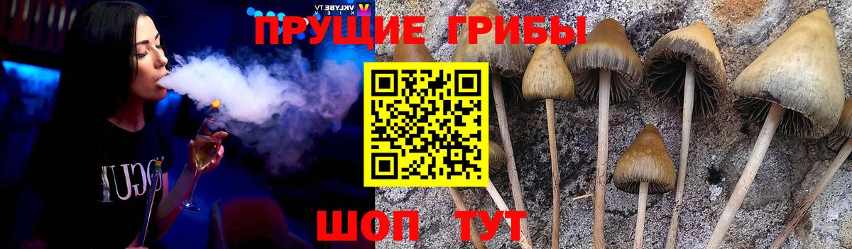 Псилоцибиновые грибы GOLDEN TEACHER  Галлюциногенные грибы Cubensis  Лениногорск  Вход с VPN 