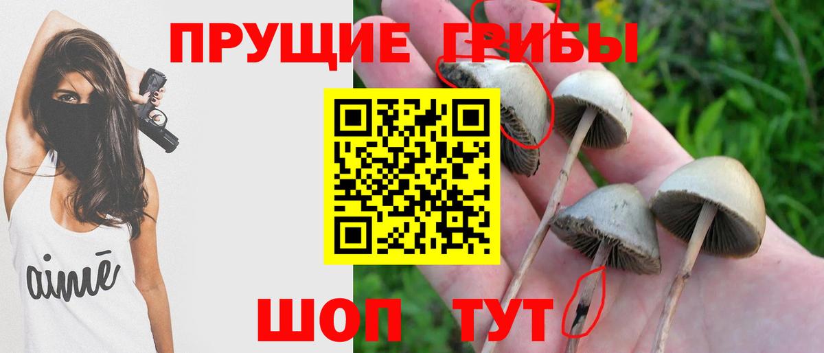 Галлюциногенные грибы MAGIC MUSHROOMS Лениногорск