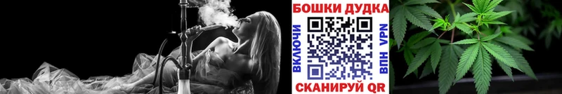 Бошки Шишки семена  KRAKEN вход  Лениногорск  даркнет сайт 